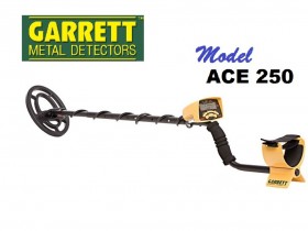 Ace 250 Metal Detector